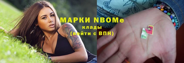 индика Ессентукская