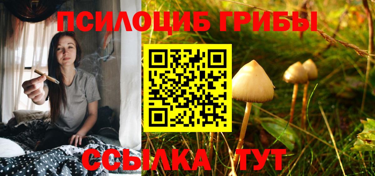 Псилоцибиновые грибы прущие грибы  Муравленко  где купить наркоту  Псилоцибиновые грибы Psilocybine cubensis 