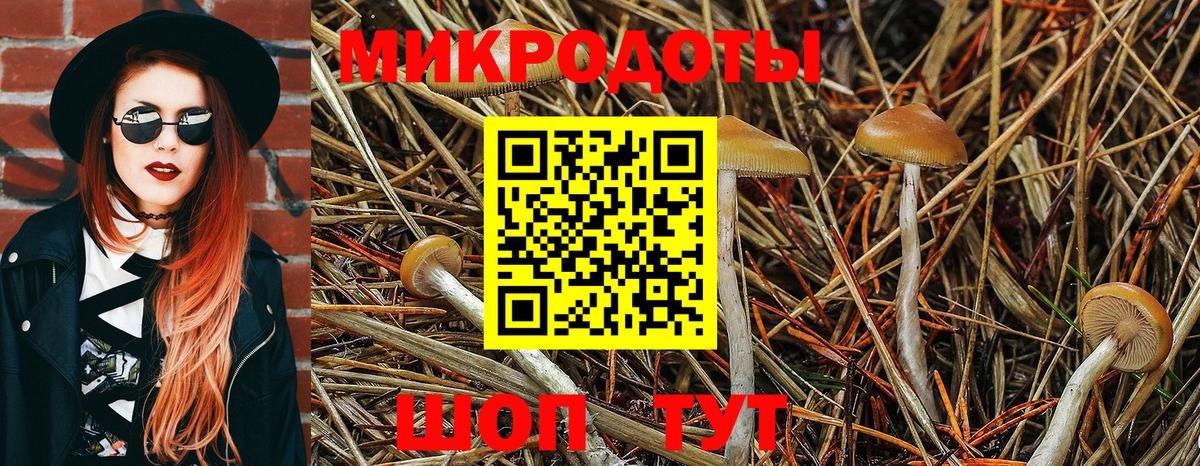Псилоцибиновые грибы прущие грибы Муравленко