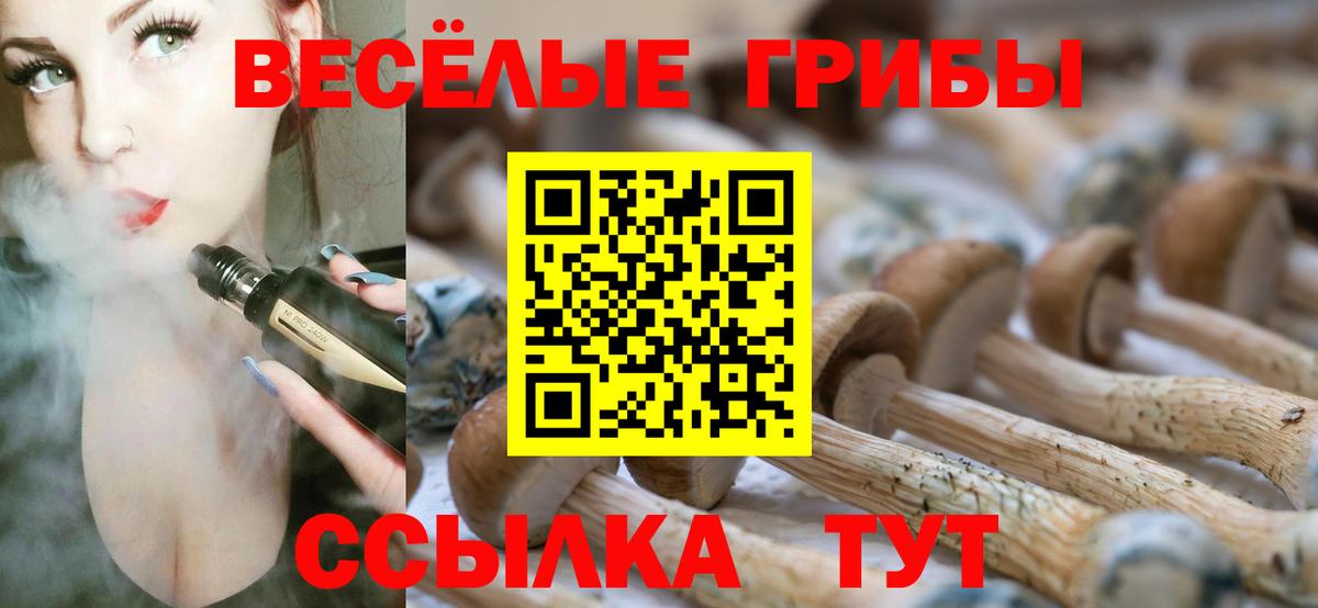 Псилоцибиновые грибы мухоморы  наркотики  Вход с VPN  Муравленко  Псилоцибиновые грибы мухоморы 