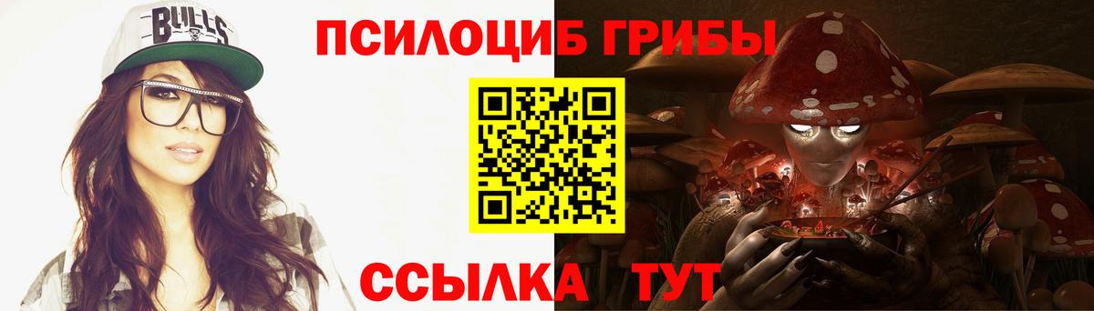 Псилоцибиновые грибы Psilocybe Муравленко