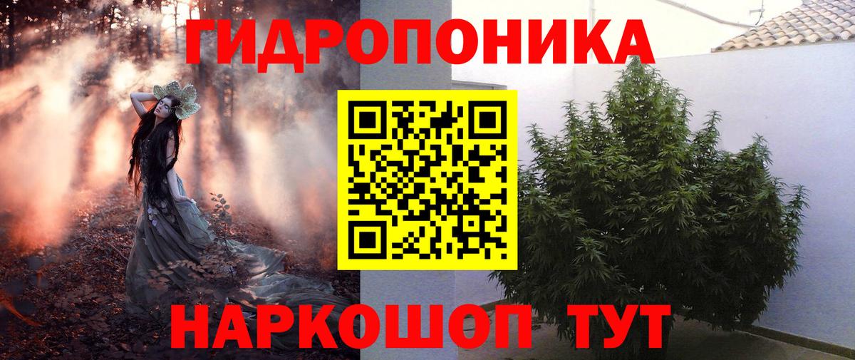 Конопля семена Муравленко